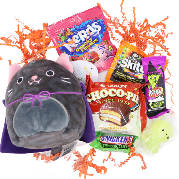 Halloween Squishmallow Bag (SLIME NOT INCLUDED)